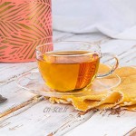 Argon Tableware Tasse et Soucoupe Transparentes en Verre pour Cappuccino thé café 260 ML 9,1 oz x6