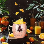 FOGARI 2 x Moscow Mule Mug avec 2 Pailles Cuivre,[530ML] Ensemble Verre Cocktail,Tasse en Cuivre pour Rhum Cocktail Boissons Froides Bar Fête [Or rose+ Poignée d'or]