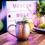 Navaris Mug Moscow Mule 2X Verre à Cocktail 500ml en Acier Inoxydable et cuivre martelé pour Moscow Mule Alcool Boisson fraîche Rose doré