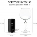 Verre à Cocktail SPKSY Gin & Tonic de Libbey 580 ml 58 cl 6 Pièces – Vont au lave-vaisselle Parfait pour un cocktail à la maison