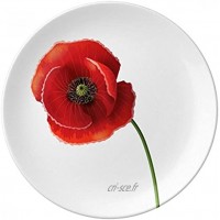 Assiette à dessert décorative en porcelaine Motif coquelicot Rouge 20,3 cm