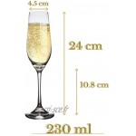 Elerise Vitina Ensemble de verres à champagne Lot de 4 flûtes à champagne 230 ml en cristal | coupe à champagne de haute qualité