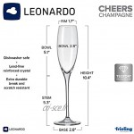 Leonardo 61631 Cheers Verre Champgne Flûte À Champagne Verre 250 ml Lot de 6
