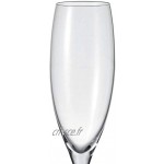 Leonardo 61631 Cheers Verre Champgne Flûte À Champagne Verre 250 ml Lot de 6