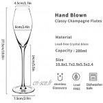 Verres Vin Pétillant Flûte à Champagne Cristal à Long Pied Verre à Gin de 6 Pièces de 280ml Idéal pour Champagne Gin Cocktail et Vin Blanc Lave-Vaisselle et Micro-Ondes Permet