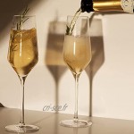 Vivo by Villeroy & Boch Group CY0412 Lot de 2 flûtes à champagne en cristal 252 ml