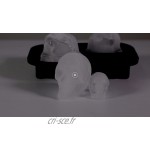 Bac à glaçons silicone avec couvercle 3D Skull,PAWACA Moules à glaçon Silicone Ice Cube Tray Silicone pour Glace au Whisky et Cocktails bière et Plus 4 Skulls surdimensionnés