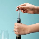 Delisouls Bec verseur et bouchon pour bouteille de vin Universel Manuel Aérateur en acrylique Pour huile de cuisson liqueur