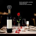Aérateur de Vin Acrylique Verseur de Vin à Piles Portable 2 en 1 Accessoire de Barre d'Aérateur de Vin Électrique pour Vin et Bière