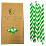 100% biodégradable Recyslable papier Boîte de 100 pailles en papier Rayures vertes