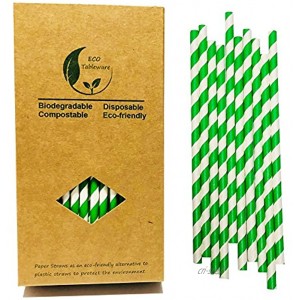 100% biodégradable Recyslable papier Boîte de 100 pailles en papier Rayures vertes