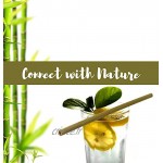 20 pailles de bambou 100% biodégradables en bois de bambou naturel réutilisables pour cocktails et tout type de boisson alternative au plastique végétalienne BPAfree