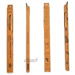 Bamboo Step Pack de 3 Kits Individuels de 1 Longue Paille en Bambou 25cm de qualité supérieur et 1 goupillon Gamme Bamboo Move Diamètre Moyen : 9mm
