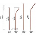 Berglander paille réutilisable paille d'acier inoxydable paille en métal paille d'or rose pailles de cuivre 18 pièces