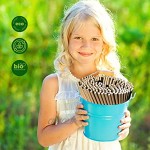 GoBeTree 300 pailles en papier biodégradables papier kraft pailles jetables écologiques compostables Baguettes pour fêtes anniversaires. Boissons chaudes et froides