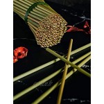 Lot de 100 pailles naturelles en herbe de bambou 20 cm Biodégradables
