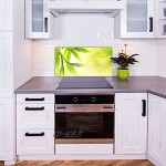 decorwelt Crédence de cuisine en verre 80 x 40 cm Protection murale pour cuisinière évier cuisine Protection contre les éclaboussures Verre décoratif Plantes vertes