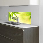 decorwelt Crédence de cuisine en verre 80 x 40 cm Protection murale pour cuisinière évier cuisine Protection contre les éclaboussures Verre décoratif Plantes vertes