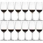 Lot de 12 verres à vin rouge blanc classiques et durables pour toutes les occasions verres à vin tout usage – Design classique – Transparent