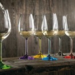 Vanilla Season Lot de 6 Verres à vin Blanc de Bohême Parfait pour Les fêtes NUKUALOFA