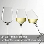 Verres à vin blanc Experience de Stölzle Lausitz 285 ml lot de 6 résistants au lave-vaisselle